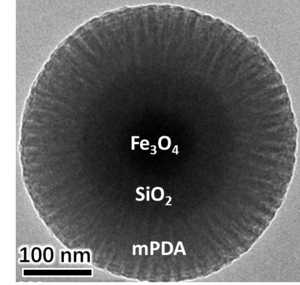 Fe3O4@nSiO2@PDA 核-壳磁性介孔聚合物微球