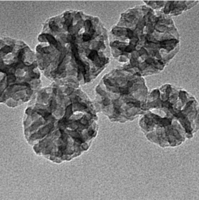 纳米孔聚多巴胺微球